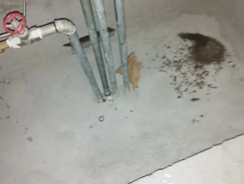 河池卫生间测漏水价格明细