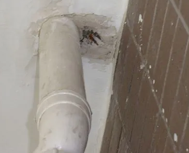 河池漏水检测哪家好